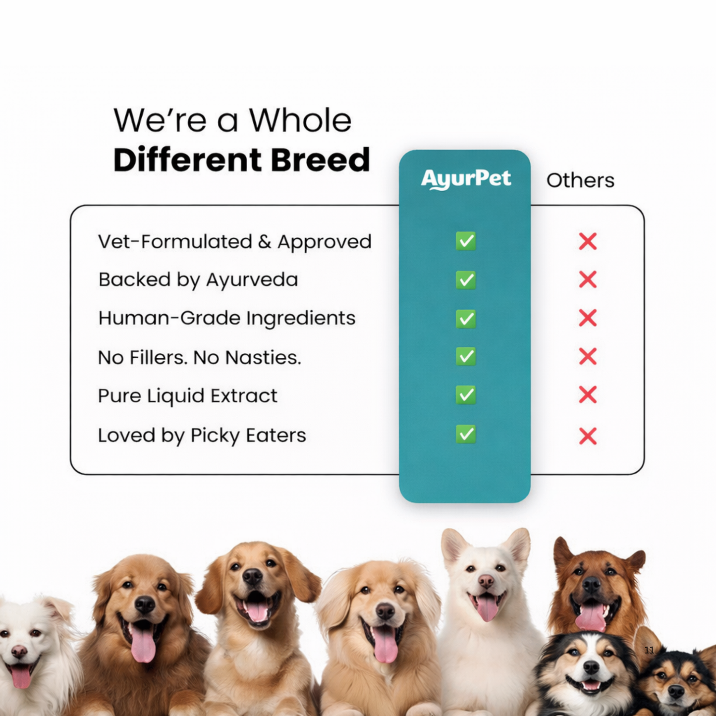 CoolCalm+ | Calming & Behavioral Ssupport for Dogs | Advanced Ayurveda + Science Backed Formulation