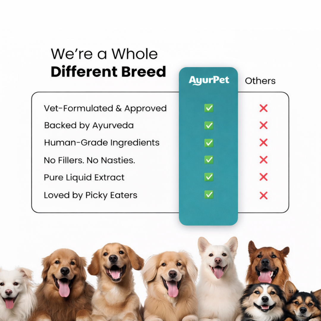 CoolCalm+ | Calming & Behavioral Support for Dogs | Advanced Ayurveda + Science Backed Formulation