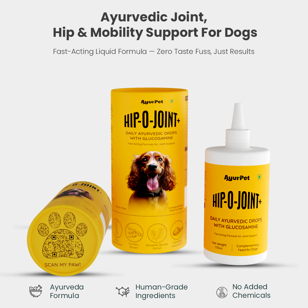 Hip-O-Joint | Joint and mobility support | Natural Ayurvedic Formula