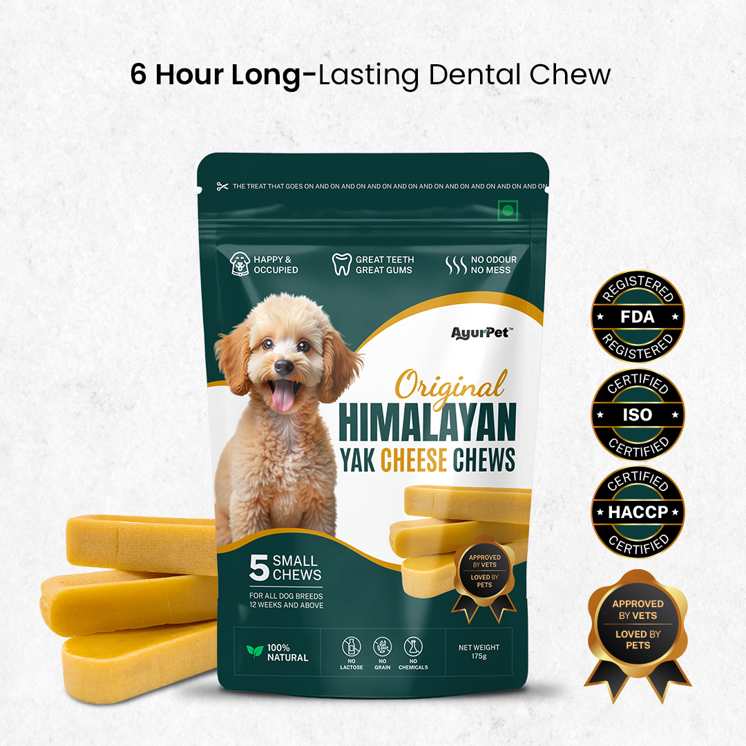 Calming Ashwagandha Yak Cheese Chews | 6-Hour Long Lasting Dental Chew
