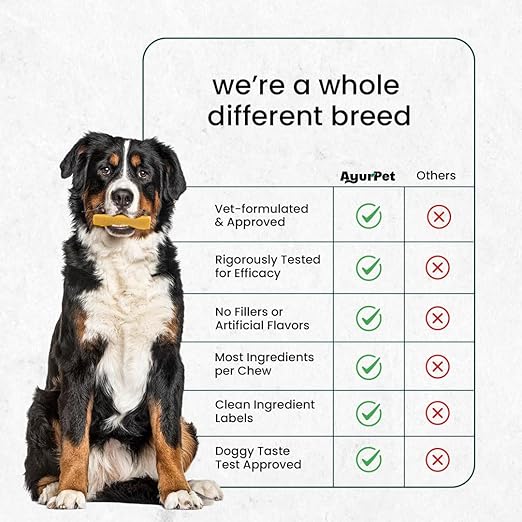 A Bernese mountain dog sits on the left holding a chew in its mouth, next to a comparison chart titled 'we're a whole different breed' comparing AyurPet to 'Others' on several product quality points.