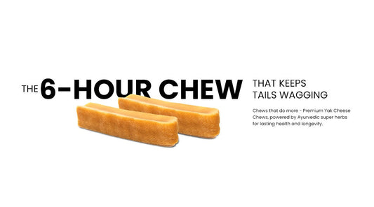 🐾 Why Ayurvedic Pet Care Starts with Yak Cheese Dog Chews by AyurPet
