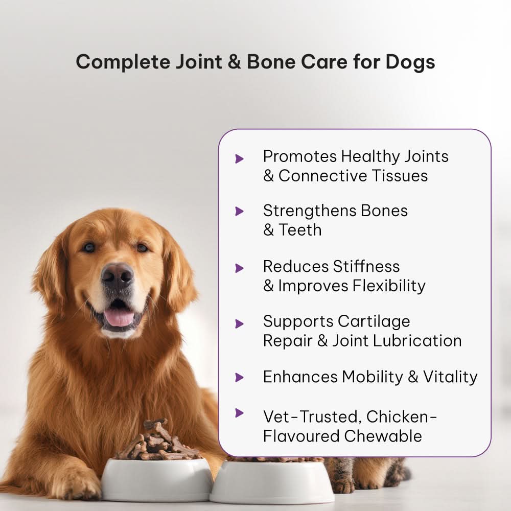 Joint Health for Dogs by AyurPet