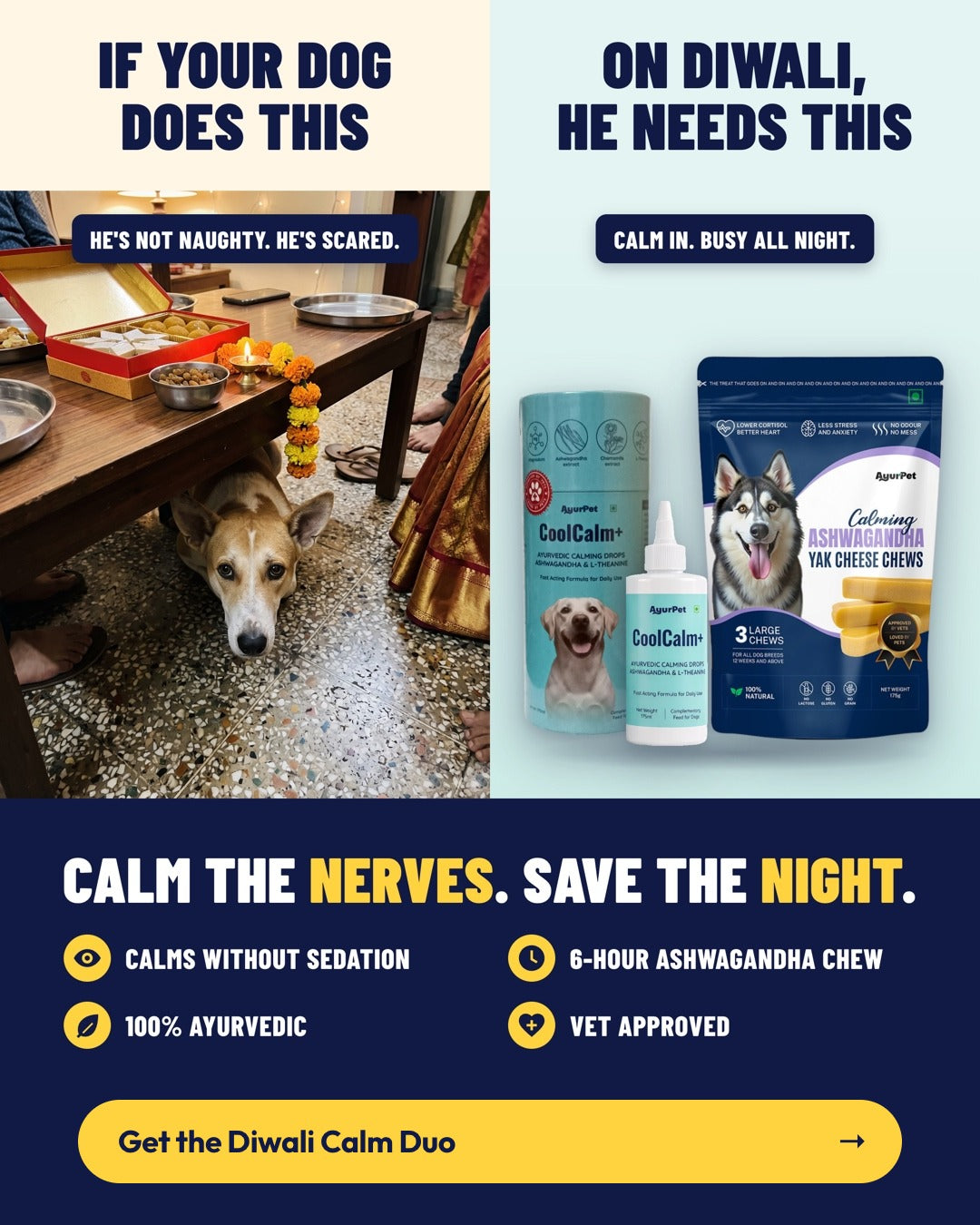 If your dog hides under the table on Diwali, he needs the Diwali Calm Duo: CoolCalm+ drops and Ashwagandha yak chews