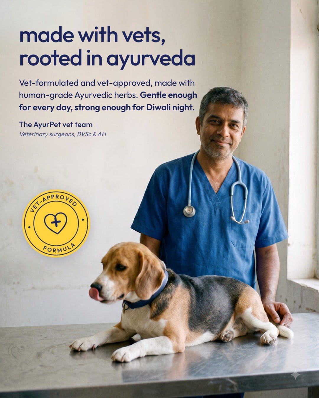 Vet with a beagle on the exam table: AyurPet is made with vets and rooted in Ayurveda