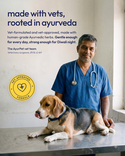 Vet with a beagle on the exam table: AyurPet is made with vets and rooted in Ayurveda