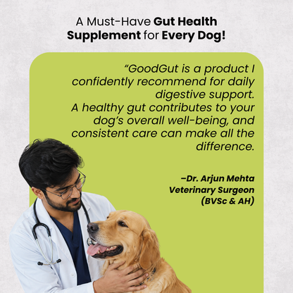 GoodGut+|  Digestive Enzymes & Prebiotics | Milk Thistle & Advanced Ayurveda |  Gut & Liver Health, Reduced Scratching & Paw-Licking | 100% Natural, 175ml