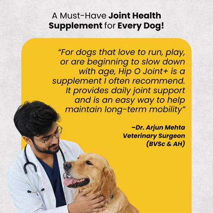 Hip-O-Joint | Joint and Mobility Support | Natural Ayurvedic Formula