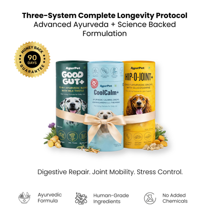 Gut, Mind & Joint Care Trio | GoodGut+ & CoolCalm+ & Hip-O-Joint+ | Science-Backed Ayurvedic Formulation