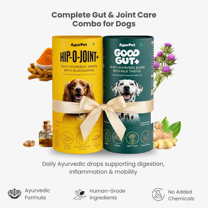 Gut & Joint Care Combo for Dogs | GoodGut+ & Hip-O-Joint | Natural Ayurvedic Formulation