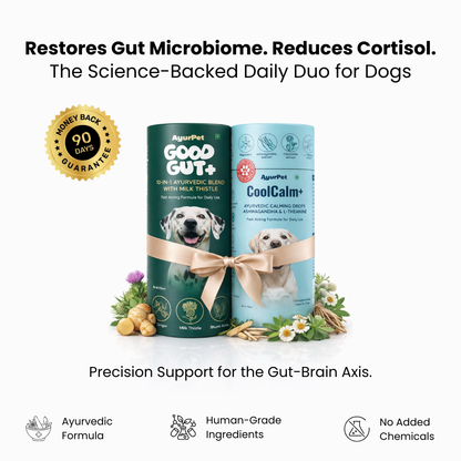 Gut Health & Stress Relief Combo | GoodGut+ & CoolCalm+ | Ayurvedic Gut-Brain Axis Support