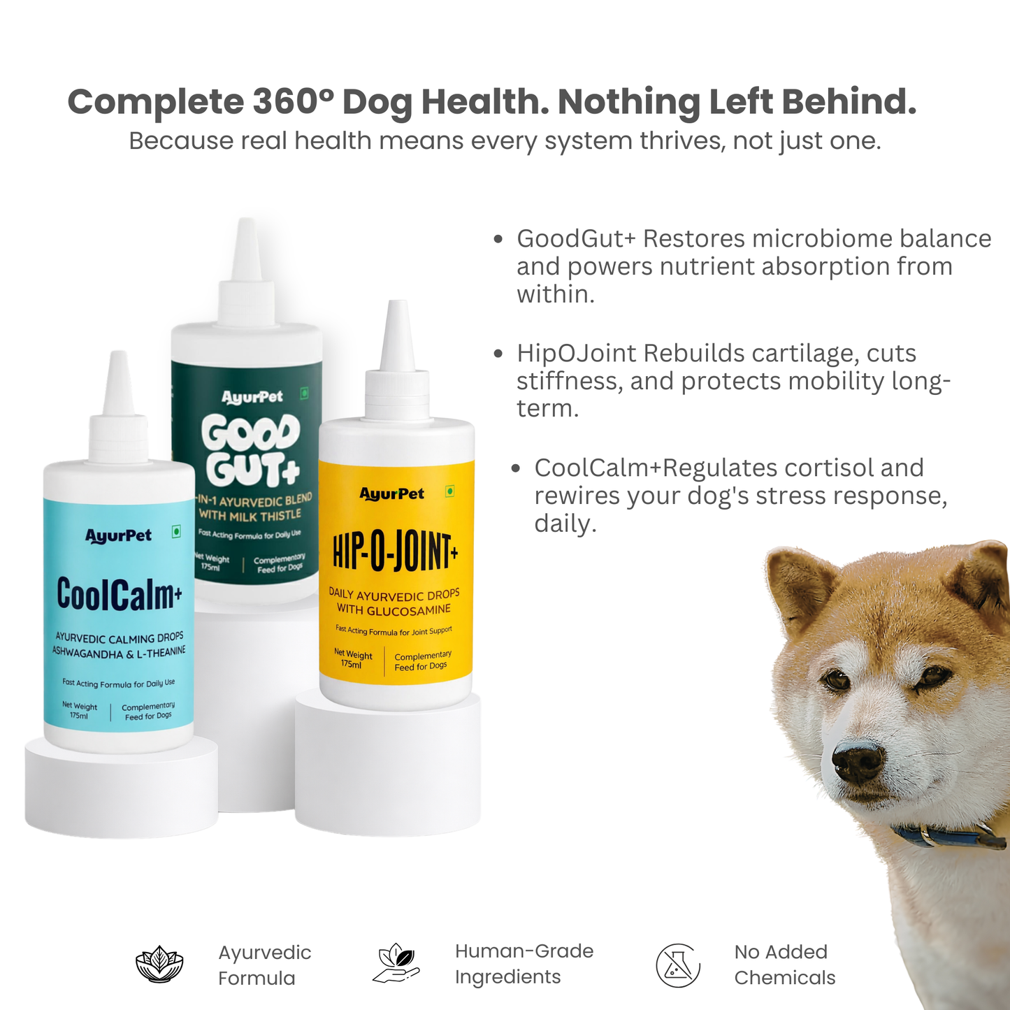 Gut, Mind & Joint Care Trio | GoodGut+ & CoolCalm+ & Hip-O-Joint+ | Science-Backed Ayurvedic Formulation