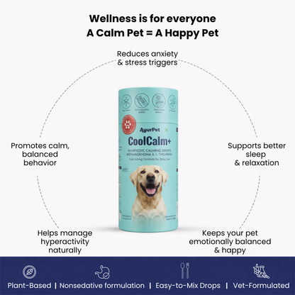 CoolCalm+ | Calming & Behavioral support for Dog | Advanced Ayurveda + Science Backed Formulation