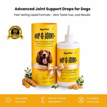 Hip-O-Joint | Joint and mobility support | Natural Ayurvedic Formula