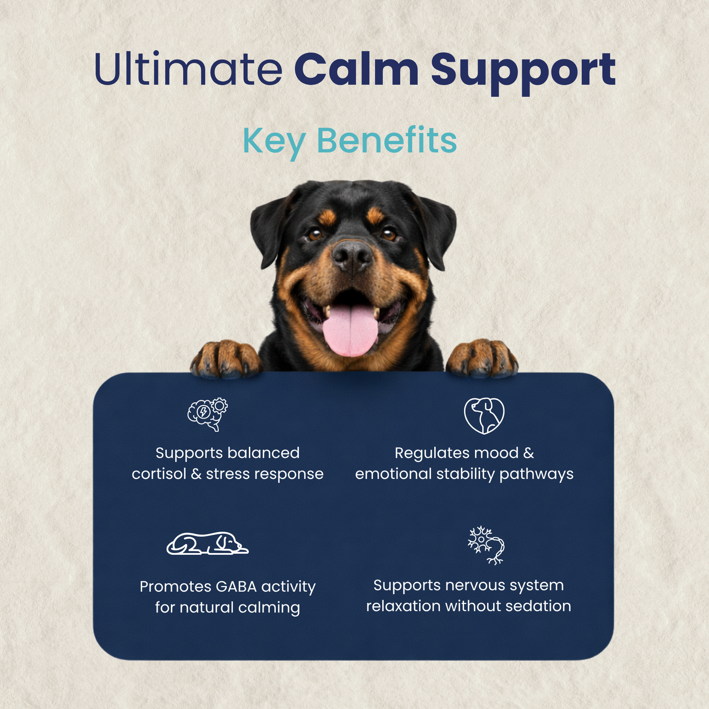 CoolCalm+ | Calming & Behavioral support for Dog | Advanced Ayurveda + Science Backed Formulation