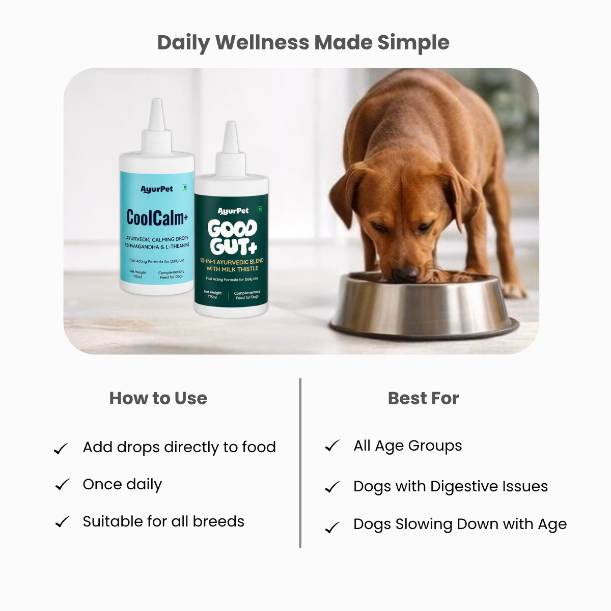 Gut Health & Stress Relief Combo | GoodGut+ & CoolCalm+ | Ayurvedic Gut-Brain Axis Support