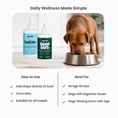 Gut Health & Stress Relief Combo | GoodGut+ & CoolCalm+ | Ayurvedic Gut-Brain Axis Support