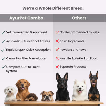 Gut & Joint Care Combo for Dogs | GoodGut+ & Hip-O-Joint | Natural Ayurvedic Formulation