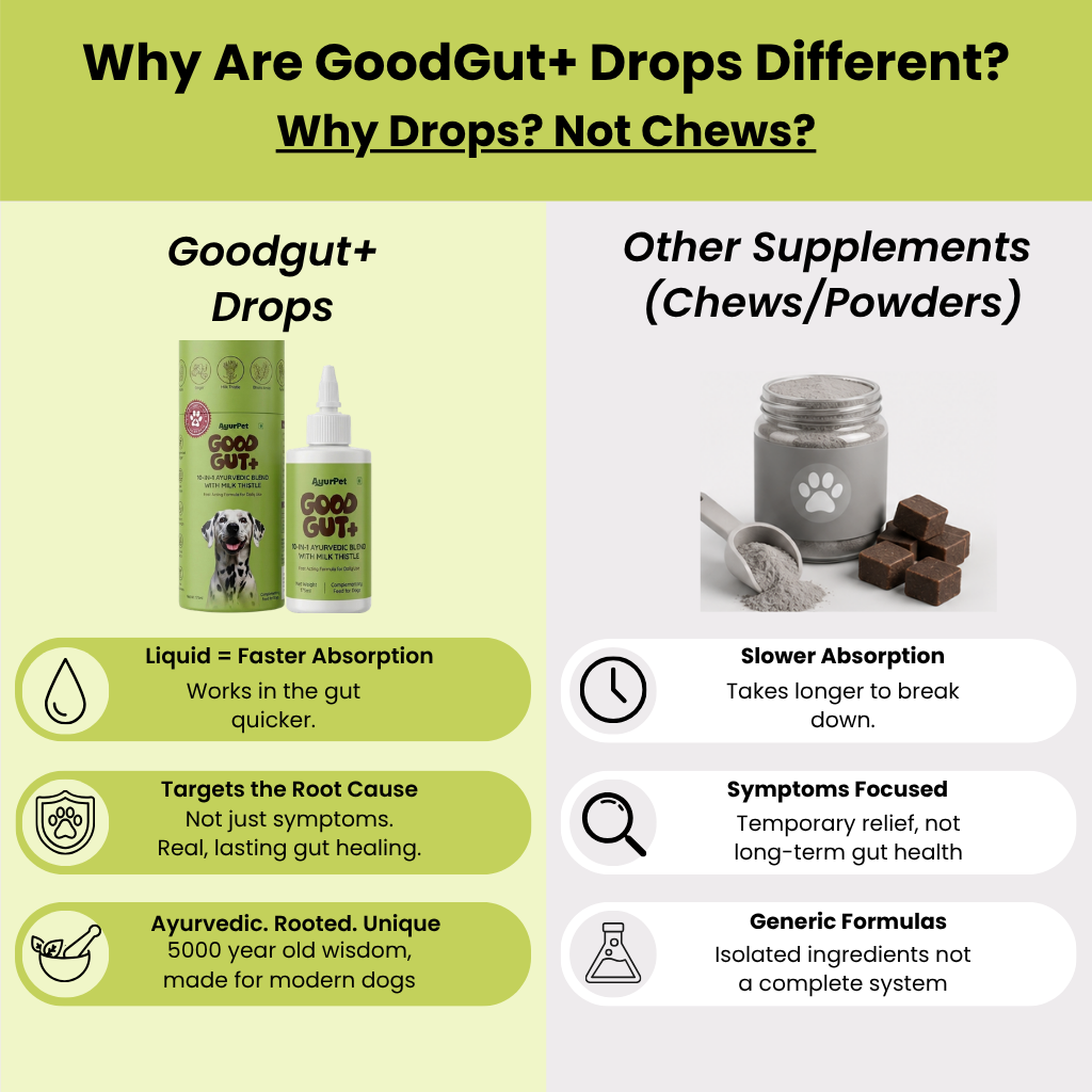 GoodGut+|  Digestive Enzymes & Prebiotics | Milk Thistle & Advanced Ayurveda |  Gut & Liver Health, Reduced Scratching & Paw-Licking | 100% Natural, 175ml