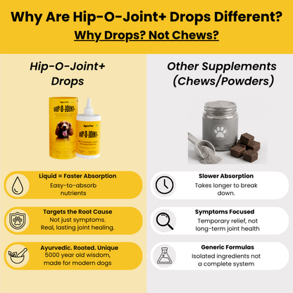 Hip-O-Joint | Joint and Mobility Support | Natural Ayurvedic Formula