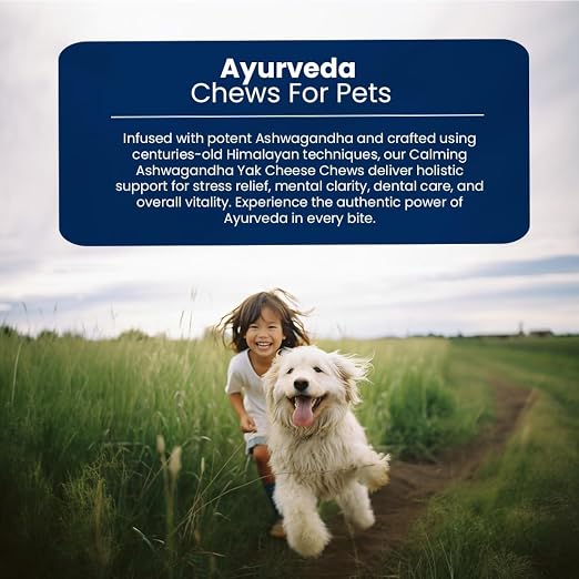 A promotional graphic for Ayurveda Chews For Pets, featuring a dark blue text banner at the top and a lifestyle photo of a smiling woman running with a white dog on a grassy path under a cloudy sky.