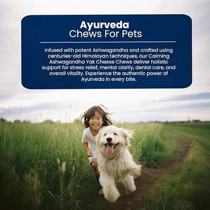 A promotional graphic for Ayurveda Chews For Pets, featuring a dark blue text banner at the top and a lifestyle photo of a smiling woman running with a white dog on a grassy path under a cloudy sky.