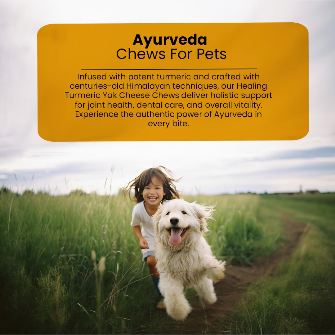 A lifestyle scene showing a smiling woman running alongside a white dog on a dirt path in a grassy field, with a large yellow text box at the top reading 'Ayurveda Chews For Pets' and descriptive copy about turmeric yak cheese chews.
