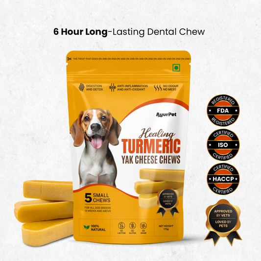 Healing Turmeric Yak Cheese Chews | 6-Hour Long Lasting Dental Chew