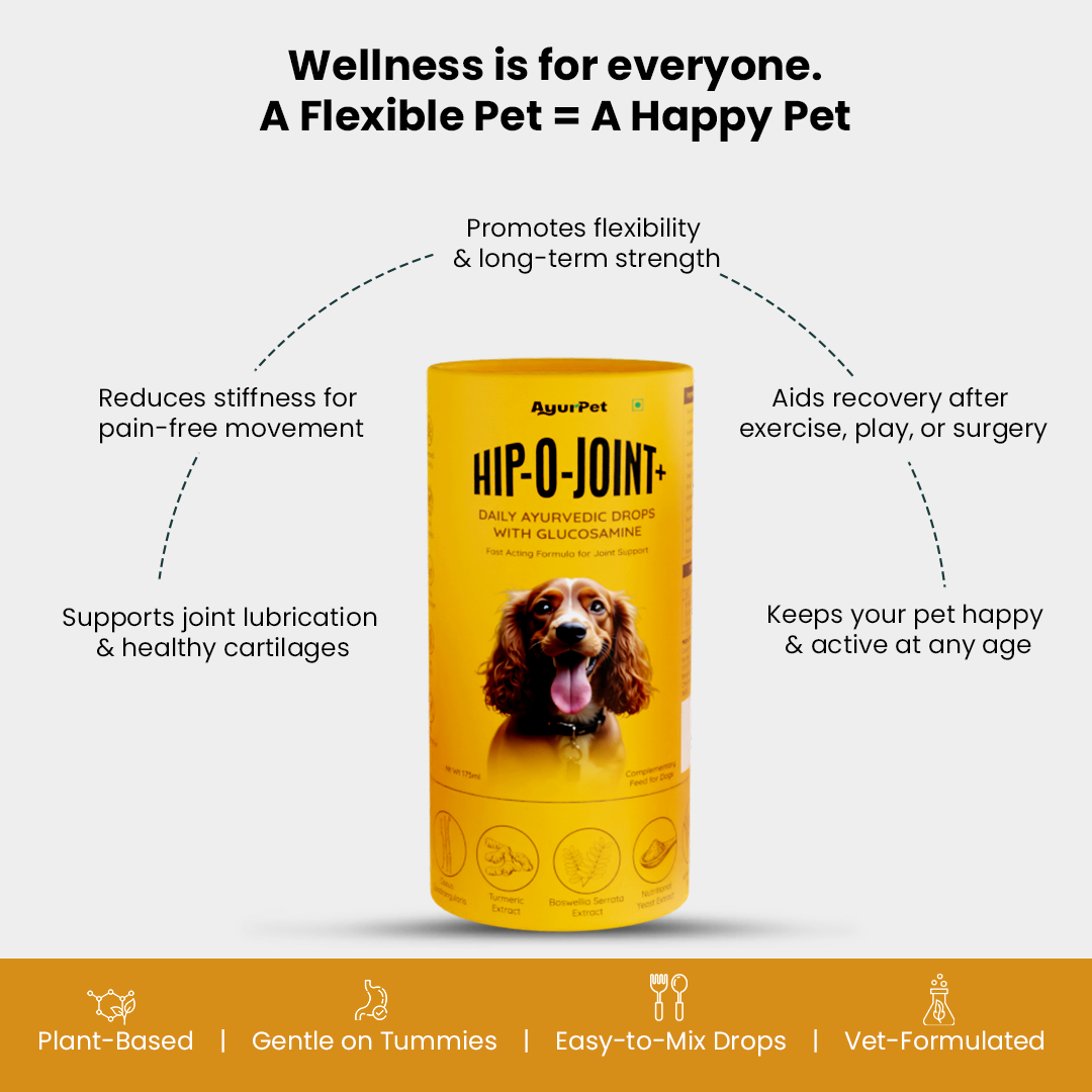 Hip-O-Joint | Joint and mobility support | Natural Ayurvedic Formula