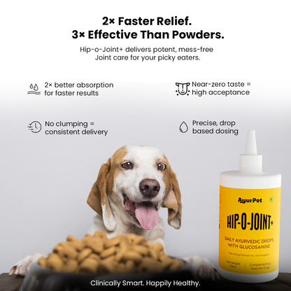 Hip-O-Joint | Joint and mobility support | Natural Ayurvedic Formula