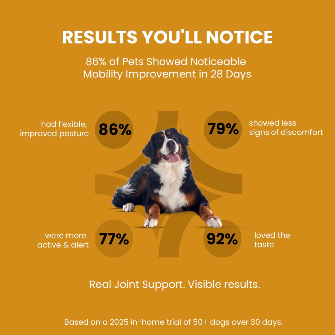 Hip-O-Joint | Joint and mobility support | Natural Ayurvedic Formula