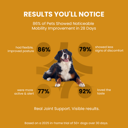 Hip-O-Joint | Joint and mobility support | Natural Ayurvedic Formula