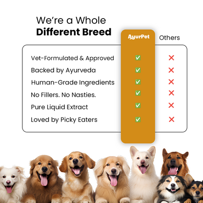 Hip-O-Joint | Joint and mobility support | Natural Ayurvedic Formula