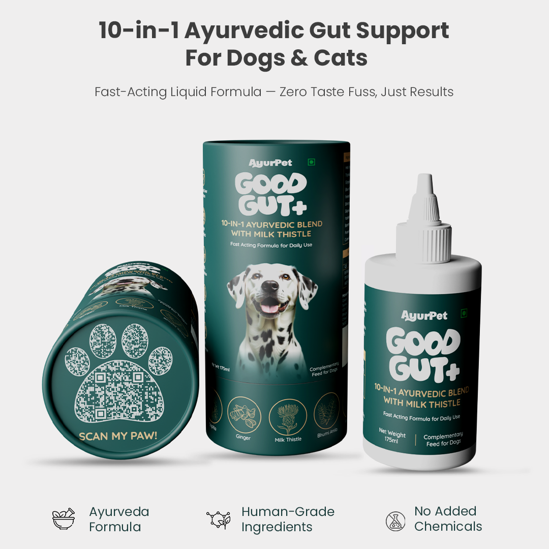GoodGut+ | Digestive Enzyme Drops for Dog | Natural Ayurvedic Formula