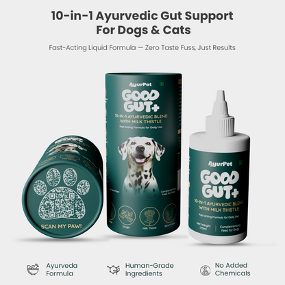 GoodGut+ | Digestive Enzyme Drops for Dog | Natural Ayurvedic Formula