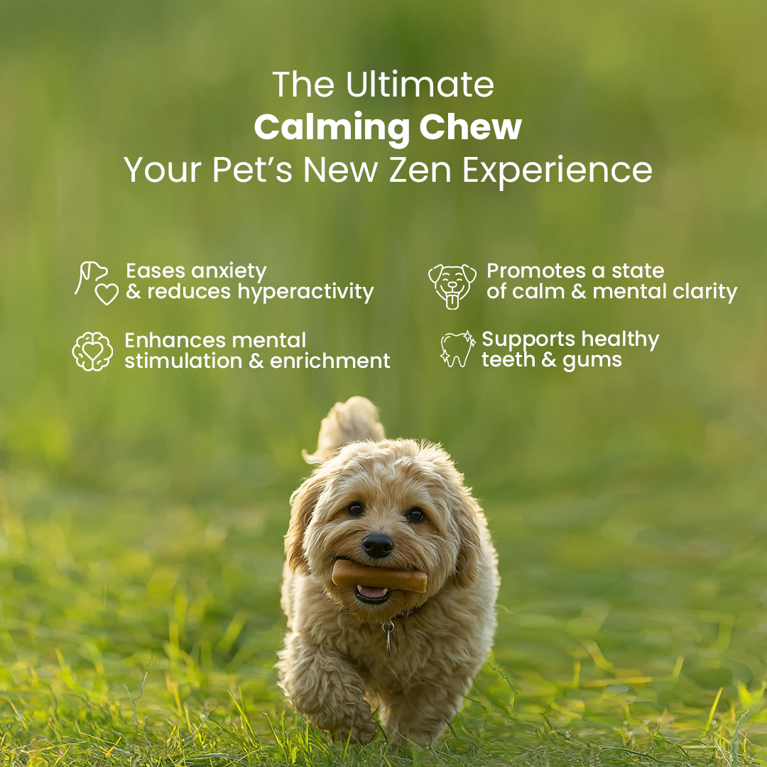 Pack of 3 | Calming Ashwagandha, Healing Turmeric, Original Himalyan