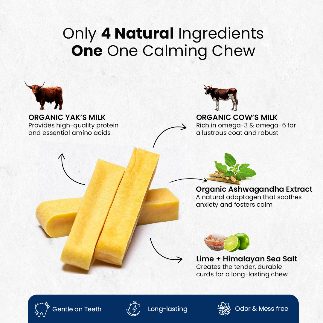 Calming Ashwagandha Yak Cheese Chews | 6-Hour Treat + Toy | Anxiety Relief + Relaxation | Natural, 100% Veg, Protein-Rich