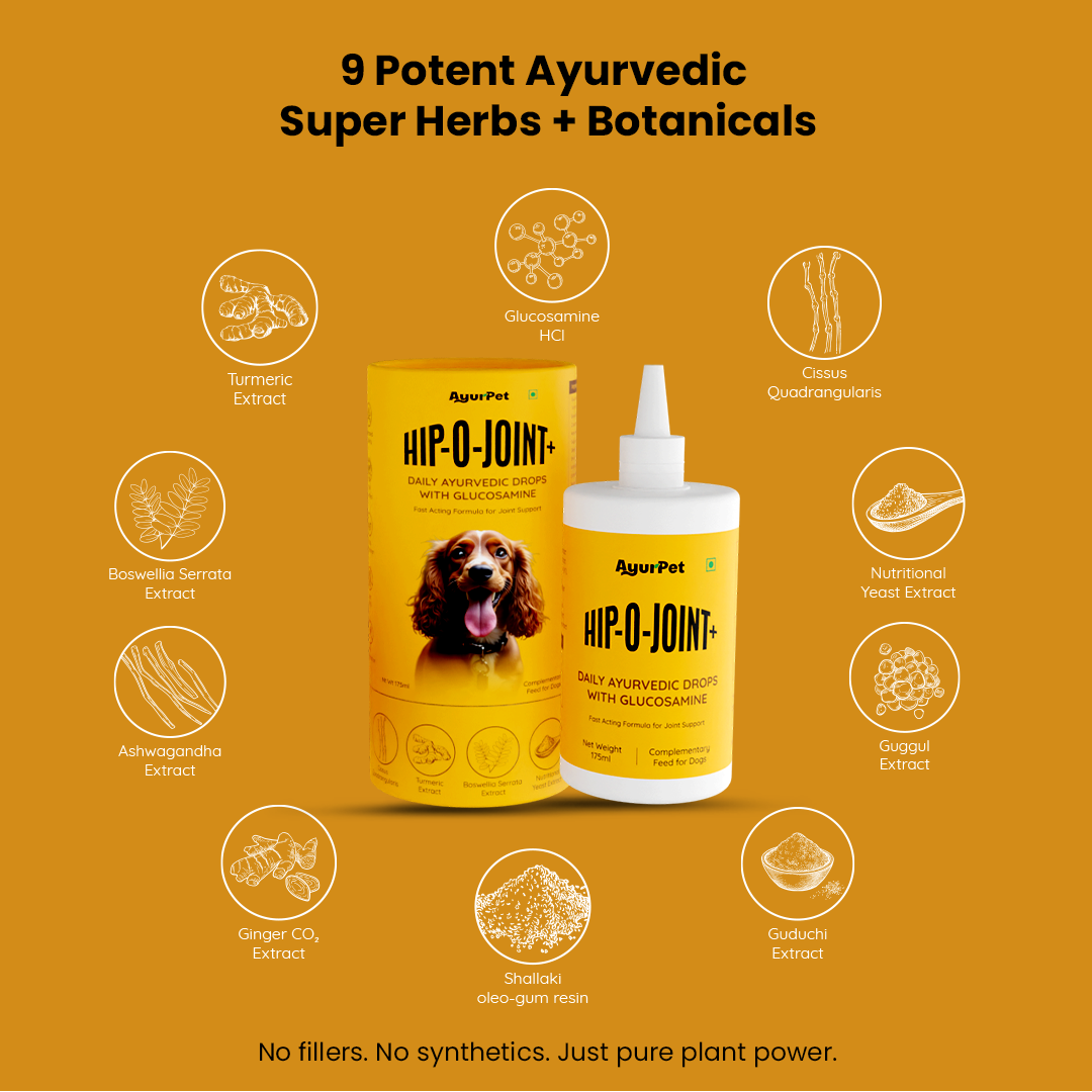 Hip-O-Joint | Joint and mobility support | Natural Ayurvedic Formula