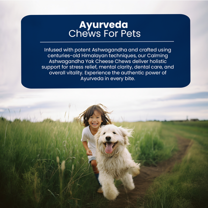 Calming Ashwagandha Yak Cheese Chews | 6-Hour Long Lasting Dental Chew