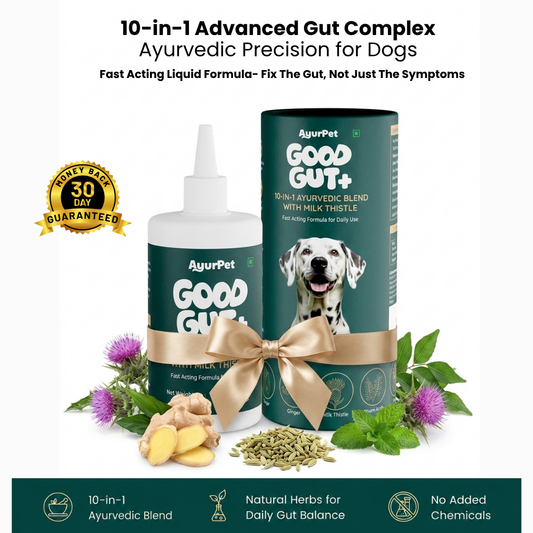 AyurPet Good Gut+ supplement for dogs with bottle and packaging on a white background