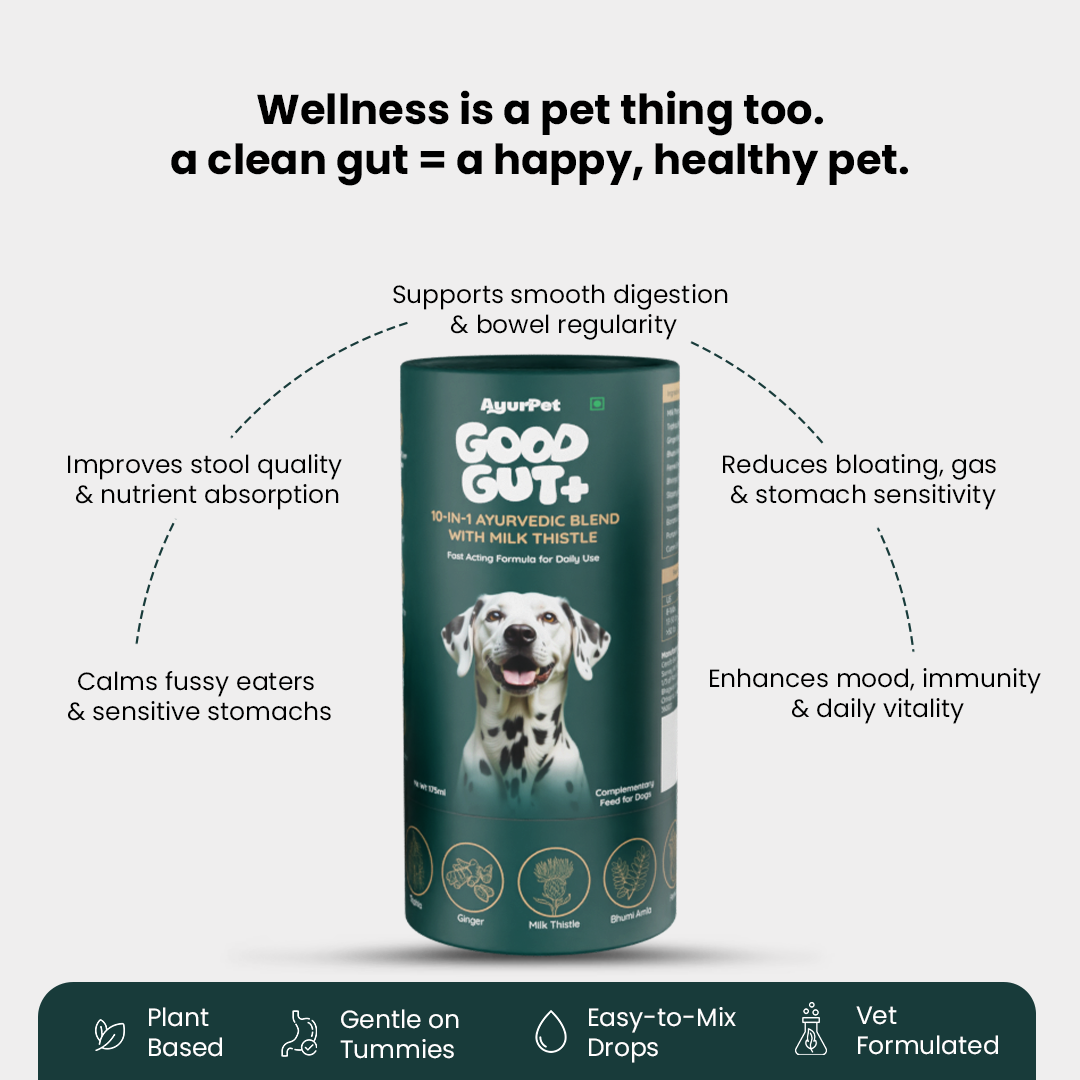 AyurPet Good Gut+ supplement for dogs with text highlighting benefits on a white background