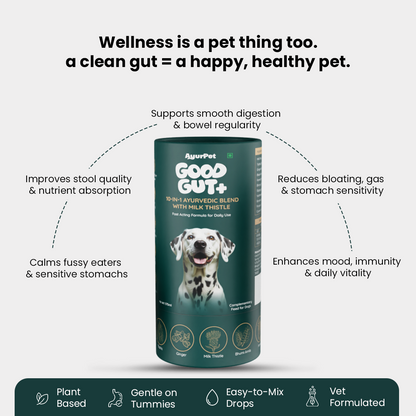 AyurPet Good Gut+ supplement for dogs with text highlighting benefits on a white background