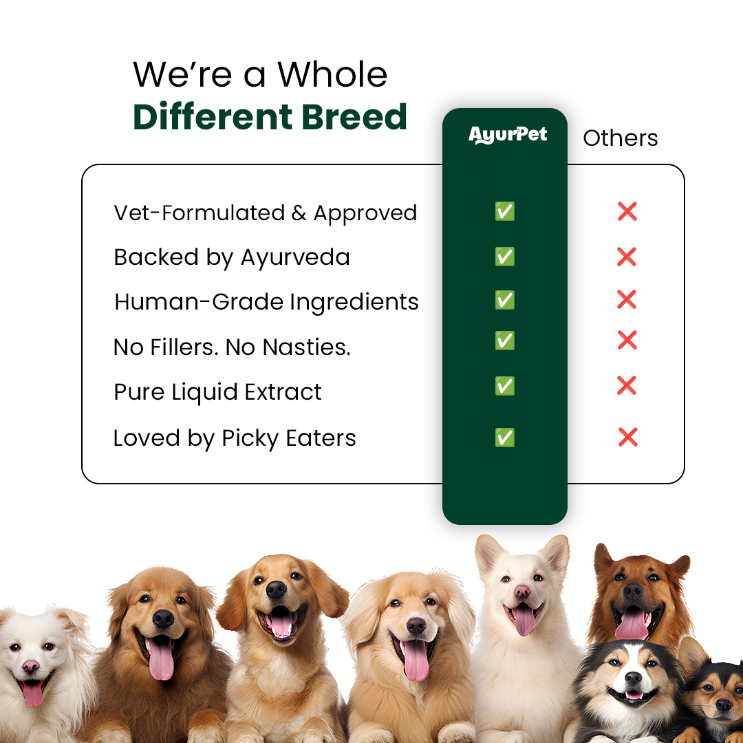 Promotional graphic for AyurPet products with a group of dogs and feature list.