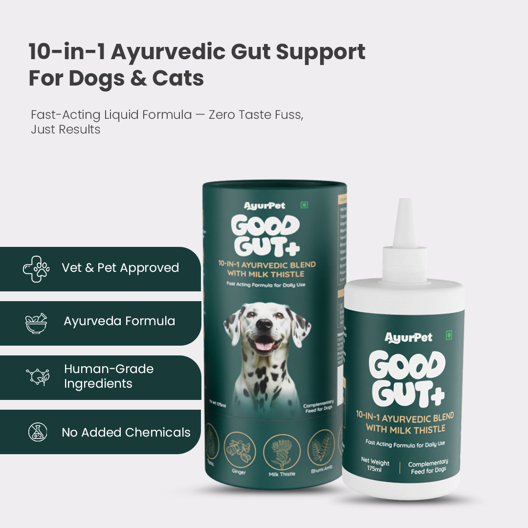 AyurPet Good Gut+ supplement for dogs on a white background with highlights