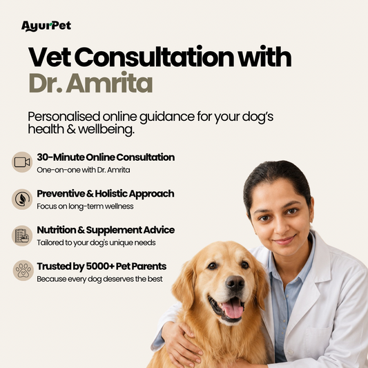 Online Vet Consultation with Dr. Amrita Singh