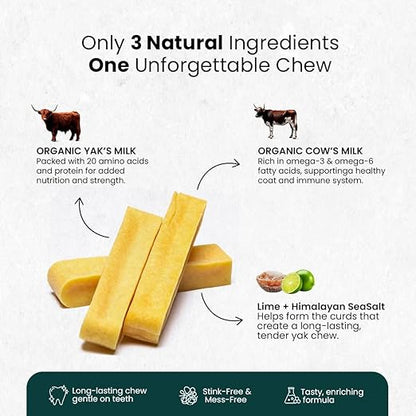 Yak Cheese Chews – 6-Hour Long-Lasting Dental Treats for Dogs | Mental Stimulation + Daily Wellness | Natural, 100% Veg, Protein-Rich | Pack of 1 Chew