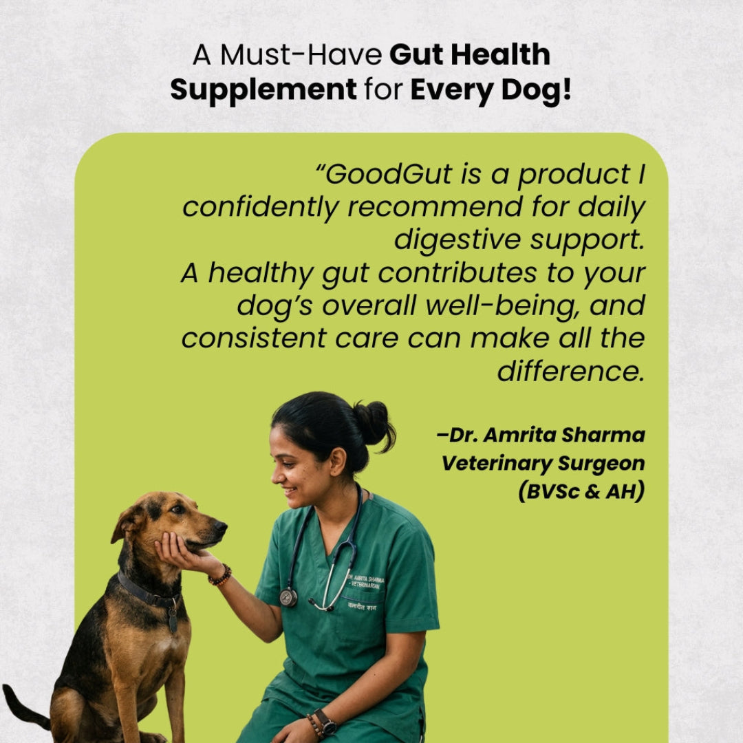 Graphic for GoodGut gut health supplement for dogs, featuring a veterinarian in green scrubs petting a brown and black dog, with a lime green text box containing a quote by Dr. Amrita Sharma and the GoodGut branding.