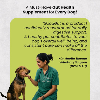Graphic for GoodGut gut health supplement for dogs, featuring a veterinarian in green scrubs petting a brown and black dog, with a lime green text box containing a quote by Dr. Amrita Sharma and the GoodGut branding.