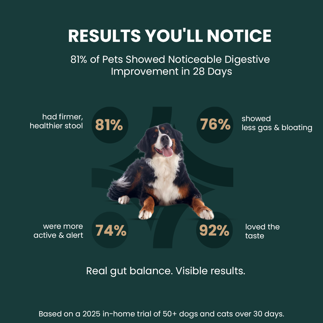 Dog lying on a green background with text about digestive improvement results.
