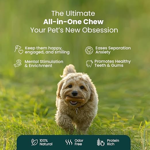 A small fluffy light-brown dog runs through green grass holding a chew toy in its mouth. Large marketing text at the top reads 'The Ultimate All-in-One Chew Your Pet's New Obsession,' with feature callouts below, and a dark teal banner at the bottom with icons for natural, odor-free, and protein-rich qualities.
